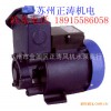 QP125水空调专用泵 自吸泵 深井泵 抽水机 自动增压泵 农用泵