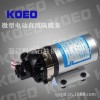 【KOEO/科耀】厂家直销供应微型电动直流隔膜泵DP-60/35供应直销