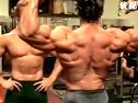 施瓦辛格 泵铁 健美 训练 泵铁Arnold Schwarzenegger training (196播放)