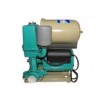 PG 冷热水自吸自动管道泵/自吸泵/自动增压供水/热水泵/冲洗泵