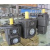 KCL油泵：SVQ315-108-17-FRAAA-01
