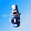 【质量可靠】供应LBZ立式齿轮泵电机油泵装置 微型液压齿轮泵油泵