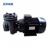 生产销售专业导热油泵 AT-DS2小型导热油泵