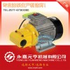 供应YTB-40机油泵  电动机油泵 齿轮机油泵