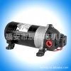 【企业集采】高压力水泵，DP--160M,大压力雾化。隔膜泵，直流泵