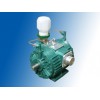 厂家直销高品质真空泵PV-1500