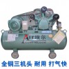 埃尔标准型 活塞空压机 空气压缩机木工喷漆气泵 全铜小型保3年
