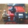 不锈钢齿轮泵ycb-6/0.6齿轮油泵首选泊曼工业泵
