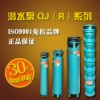 厂家直销 QJ（R）井用 潜水泵 质保二年 【关圣】水泵领导品牌