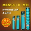 正品保证 guansheng 关圣 潜水泵200QJ(R)系列 高扬程潜水泵