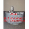 厂家批发CB-B6齿轮泵 液压泵（正向、反向）WCB-B6油泵批发