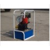 FDB0.5×63风动油泵，FDB型风动油泵，风动油泵详细信息