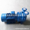 厂家生产2BV-5131水环式真空泵 信誉第一【图】