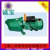 抽水机/水泵/铸铁水泵/不锈钢水泵/批量发售喷射泵JET