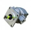 热销GPY系列高压齿轮泵 微型高转速高压齿轮泵 电动油泵供应