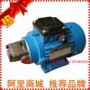 现货销售 小流量RHB-2.5JZ电动摆线齿轮油泵