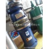 杭州恒通-西子泉油浸式潜水电泵2.2kw