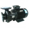 YLIZ65—50-125 YLIZ水立方系列 源立水泵 厂家批发 价格
