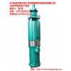 QY1200-60/2-280充油式潜水泵-大流量潜水泵-湖南朝阳机电股份
