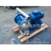 供应上海不锈钢电动隔膜泵 DBY-25不锈钢隔膜泵