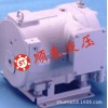 原装进口日本大金DAIKIN转子泵 RP15C13H-22-30