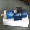 20CQF-12  CQF塑料磁力泵/微型磁力泵/耐腐蚀磁力泵/荣达泵阀
