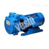 2SK-1.5  2SK型水环式真空泵 双极水环泵 水循环真空泵