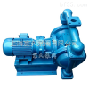 DBY-65  上海宸久DBY电动隔膜泵/隔膜泵