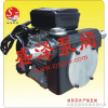 DYB-80  电动油泵/直流计量电动油泵/防爆电动油泵