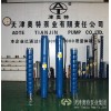 天津最好的深井潜水泵品牌 井用潜水泵质量可靠的生产厂家