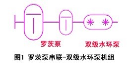 罗茨泵串联双级水环泵机组