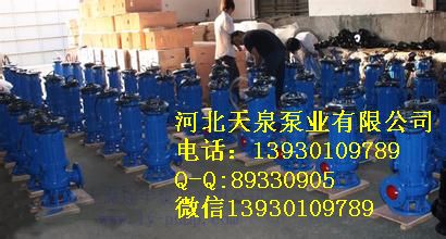 200QW300-55-90提升泵_200QW300-55-