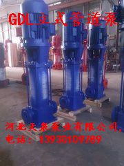 多级泵_80GDL54-14×2立式多级管道离心泵