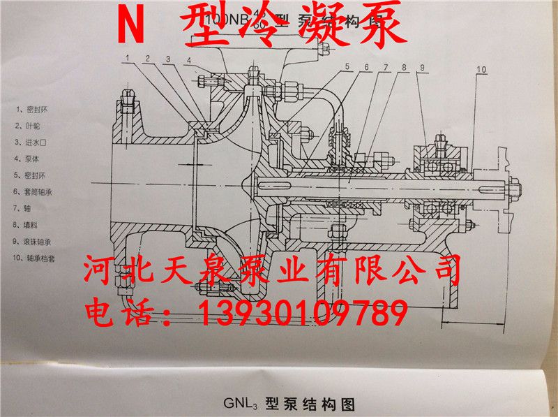 额尔古纳哪里有卖冷凝泵的_冷凝泵质量好的厂家