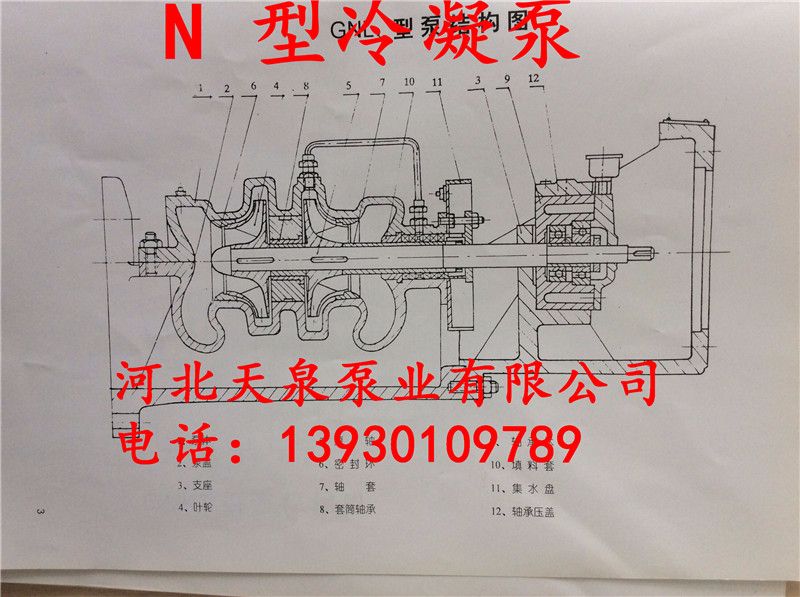 盘锦哪里有卖冷凝泵的_冷凝泵质量好的厂家