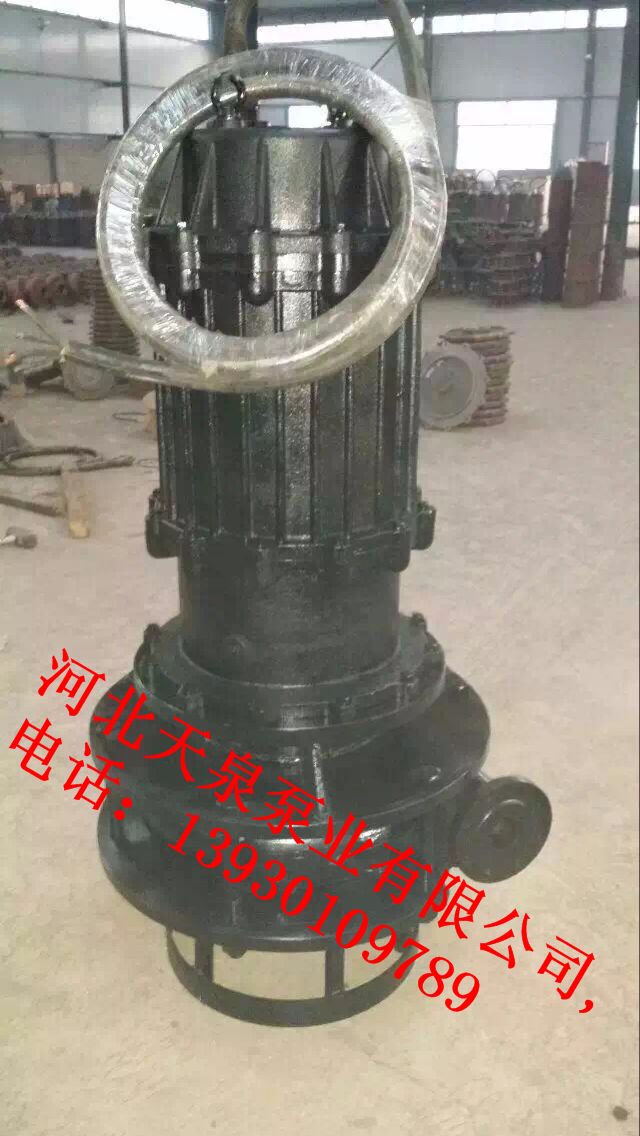 NSQ500-20-75天泉牌工业水泵