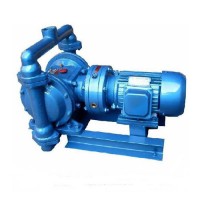 DBY电动隔膜泵-上海矾泉泵业